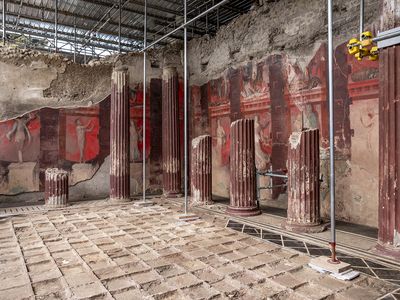 The frescoes in Pompeii&#39;s&nbsp;House of Thiasus