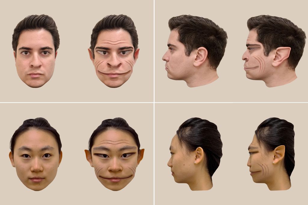 Four panes of faces that have been distorted