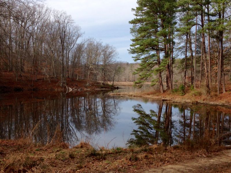 Beaver Lake in Pocahontas State Park | Smithsonian Photo Contest ...