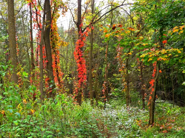 The last day of September thumbnail