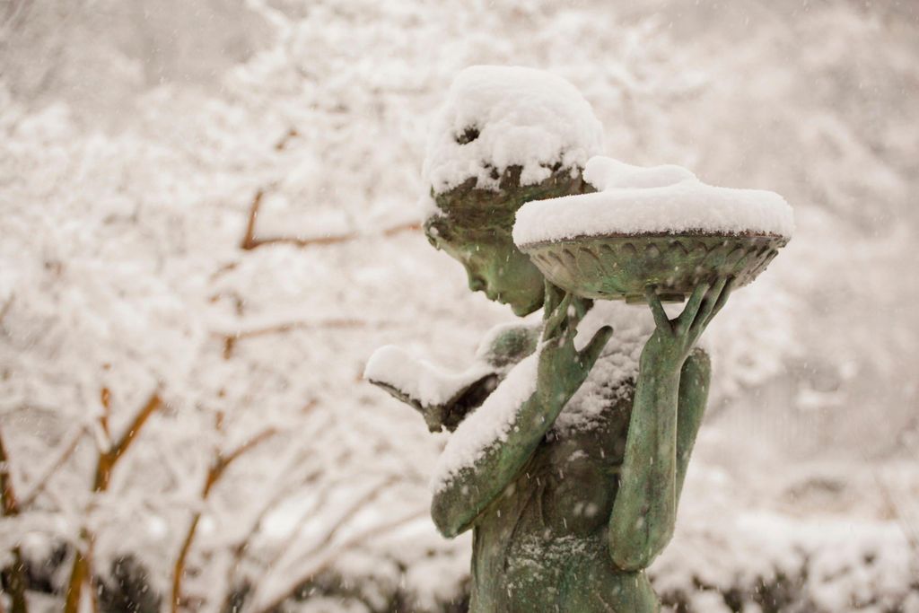 Central Park Statue