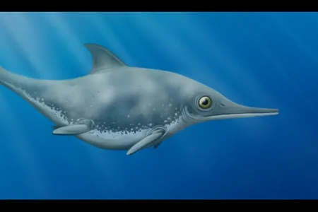 An artist's illustration of a newly described species of ichthyosaur called Thalassodraco etchesi swimming in the Late Jurassic seas off the coast of England.
