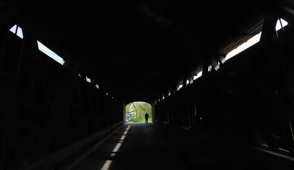 Walking Under Cover thumbnail