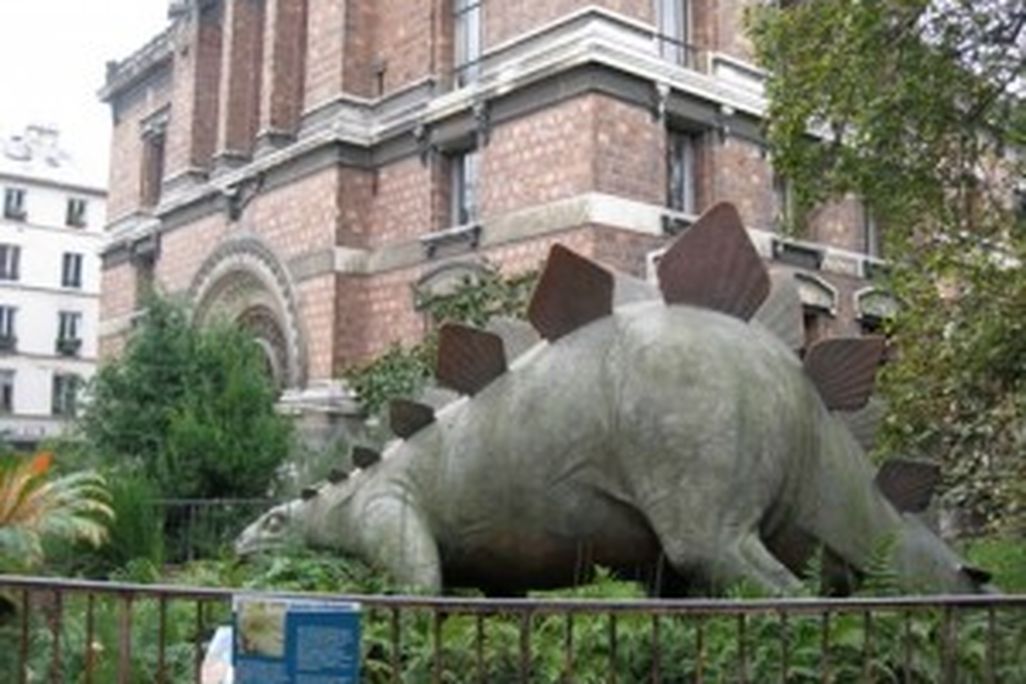 20110520083152dino-Paris-300x224.jpg