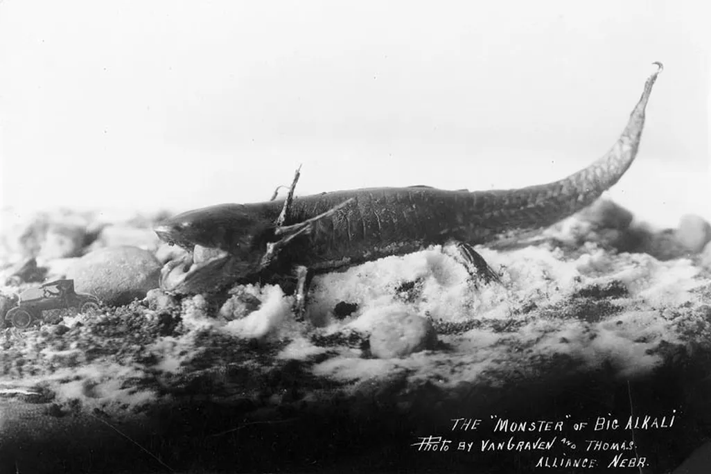 monster-big-alkali.jpg