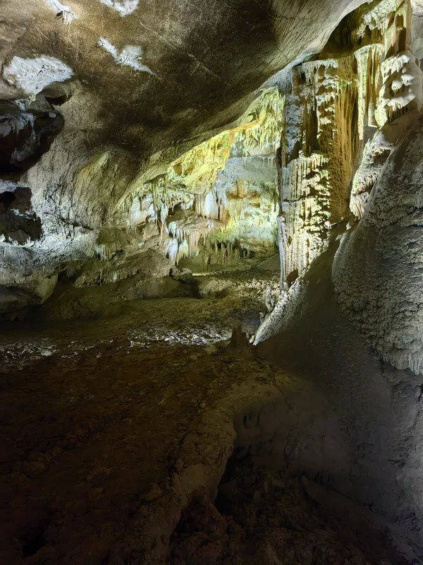 Nature's Ancient Craft thumbnail