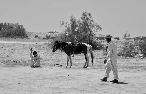 Under the sunlight thumbnail