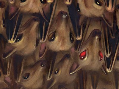 social Virus Hunter in bat cave with a red eyed bat