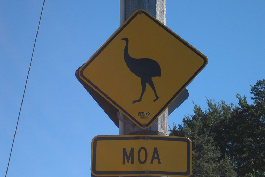 moa