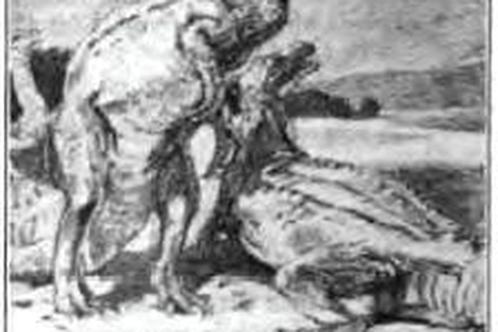 20110520083131iguanodons-current-lit.jpg