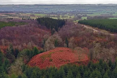 The presumed site of Wallace's House, where William Wallace once reportedly hunkered down to plot with his men