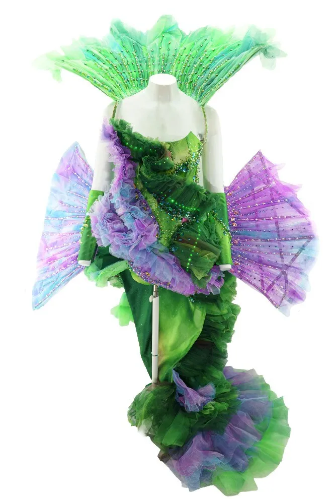 Miss North Dakota costume