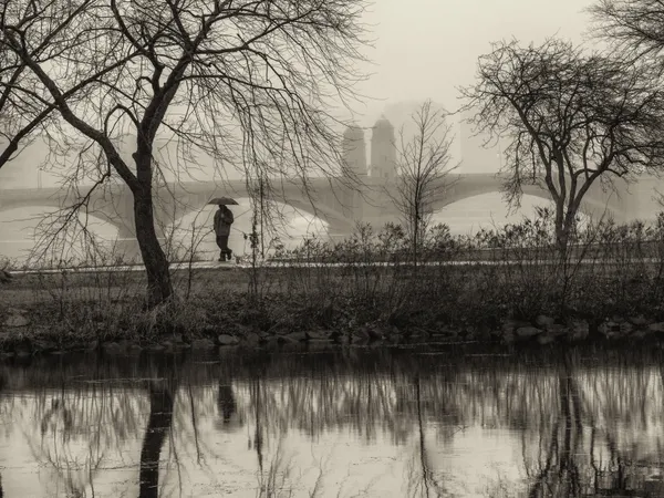 Fog Shrouded Morning Along the Charles River, Boston thumbnail