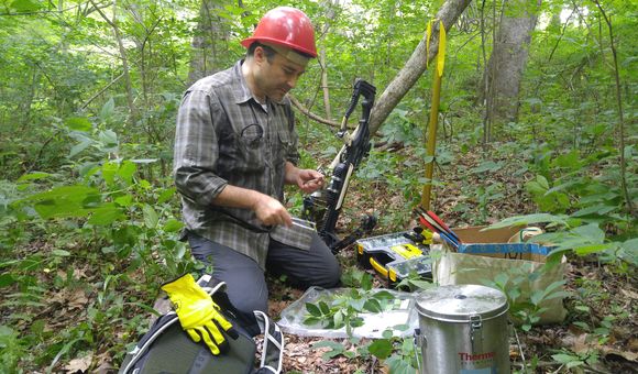 Uzay Sezen, wearing a red hard hat, kneels in a forest with a crossbow on his left and a sample of green leaves in front of him