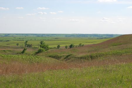 The awesomely beautiful tallgrass prairie in the Flint Hills of Kansas. The Flint Hills contains the majority of the remaining tallgrass prairie in the United States, thanks to its rocky soil that prevented farmers from plowing it under to farm the fertile soils. (Credit: Kim La Pierre) 