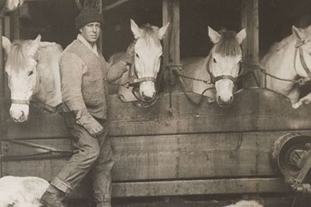 Captain Lawrence "Titus" Oates with ponies