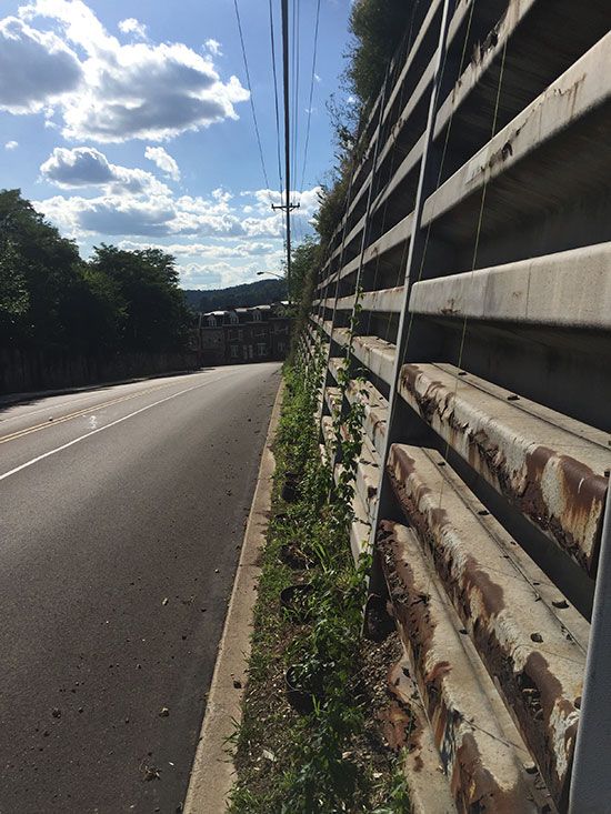 Growing Hops in Abandoned Lots? Pittsburgh Will Drink to That