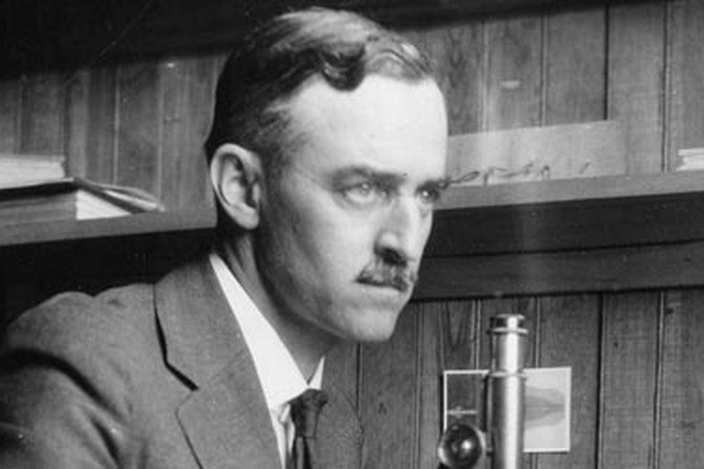 Winterton Conway Curtis