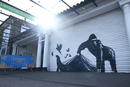 The last animal-themed mural in Banksy&#39;s series appeared on an entrance to the London Zoo.