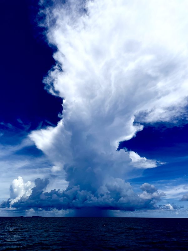 Chased by a Storm thumbnail