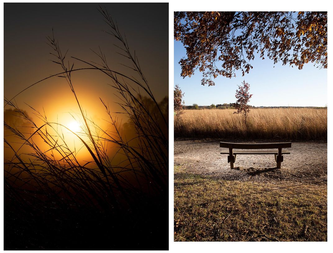 Sunrise and Solitude at Limberlost