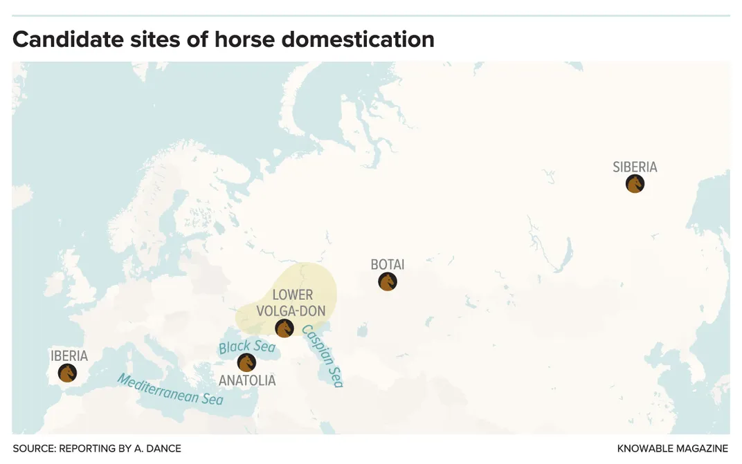 Map of Horse Domestication Location