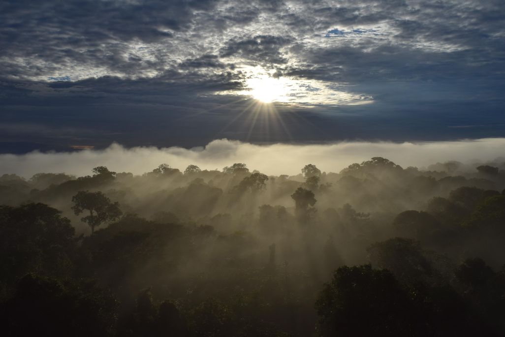 24J_ON2018_AmazonDSC_0104_LIVE.jpg