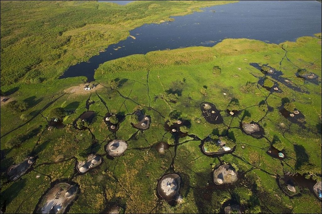overhead shot of wetlands