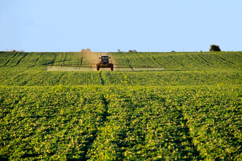 09_25_2014_soybean.jpg
