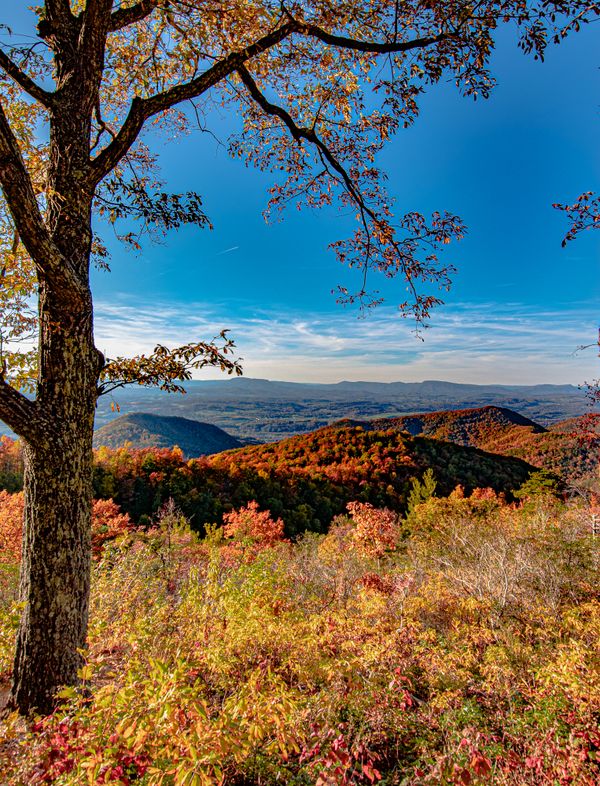 Blue Ridge Mountain Beauty thumbnail