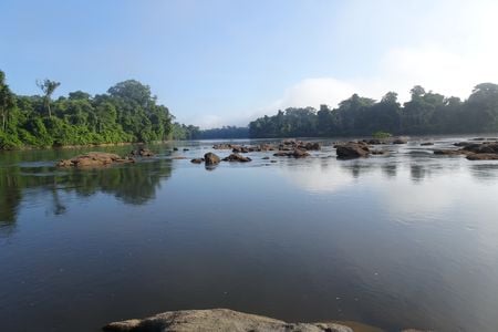 The Oyapock river, between Brazil and French Guiana, is one of the few waterways that a new paper identifies as being relatively undamaged by humans.