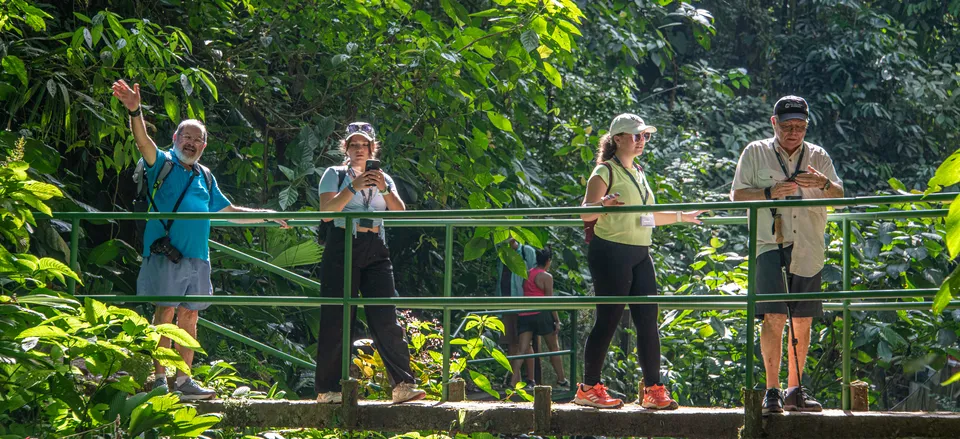  Travelers take a canopy walk in the Costa Rican rainforest  Credit: Steve Paton 