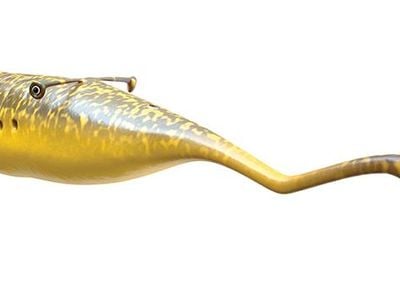 An artist's rendering shows what a Tully Monster might have looked like 300 million years ago.