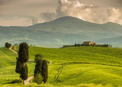 trails-of-italy-walking-vineyards-tuscany