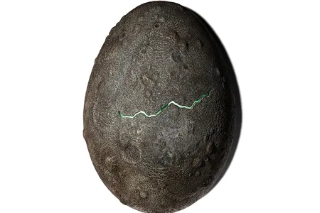 The museum's curator Ryan&nbsp;Lintelman says the egg is emblematic of the cultural import of Weaver&rsquo;s character Ellen Ripley, who battles the magnificently ugly "xenomorph."