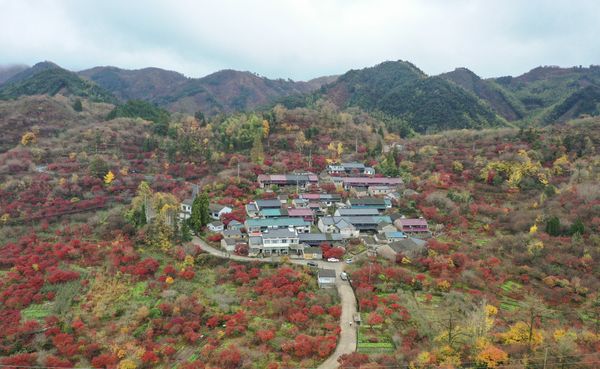 Autumn scenery of Siming Mountain thumbnail