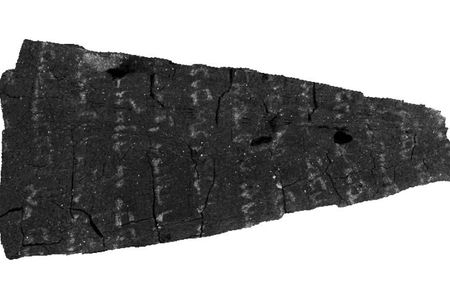 A section of the digitally unwrapped Ein Gedi scroll, bearing text from Leviticus.