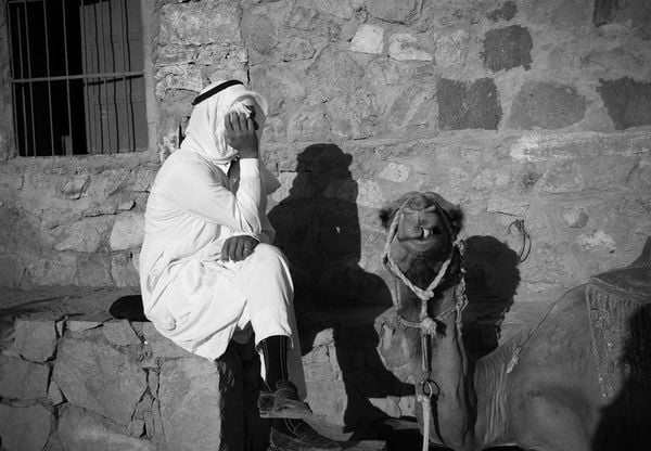 A bedouin and his camel on the Sinai mountain, Egypt thumbnail