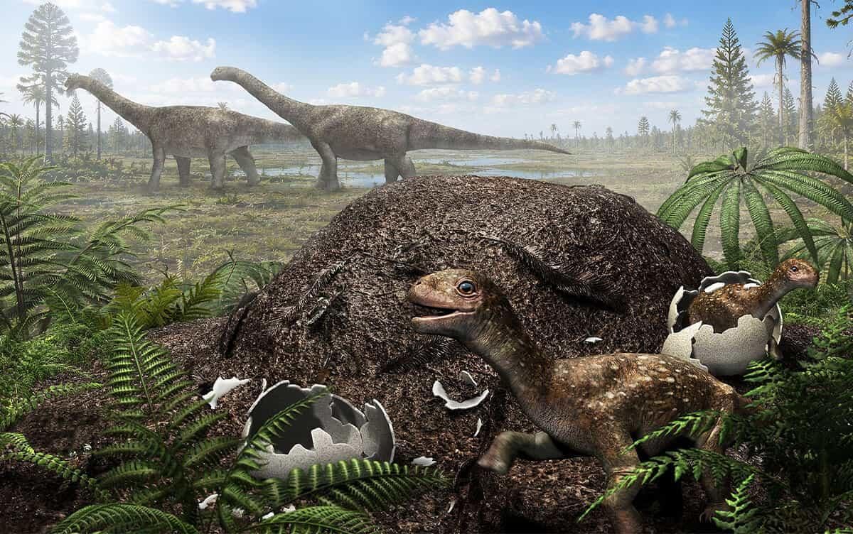 Millions of years ago, during the late Cretaceous, some of the largest dinosaurs ever were laying eggs in surprisingly cold places. <https://t.co/r8Z2Y7B8iM>
 [