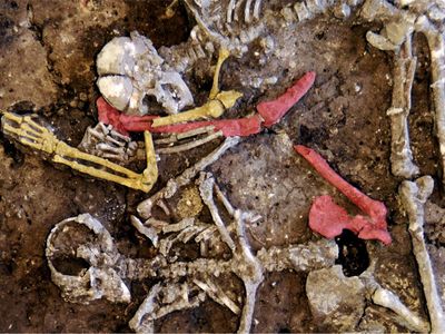 The unusual placement of the victims' limbs (the right humerus, or upper arm bone, in yellow, is tossed across the right femur, or thigh bone, in red) suggests they were strewn haphazardly across the burial pit rather than carefully buried.