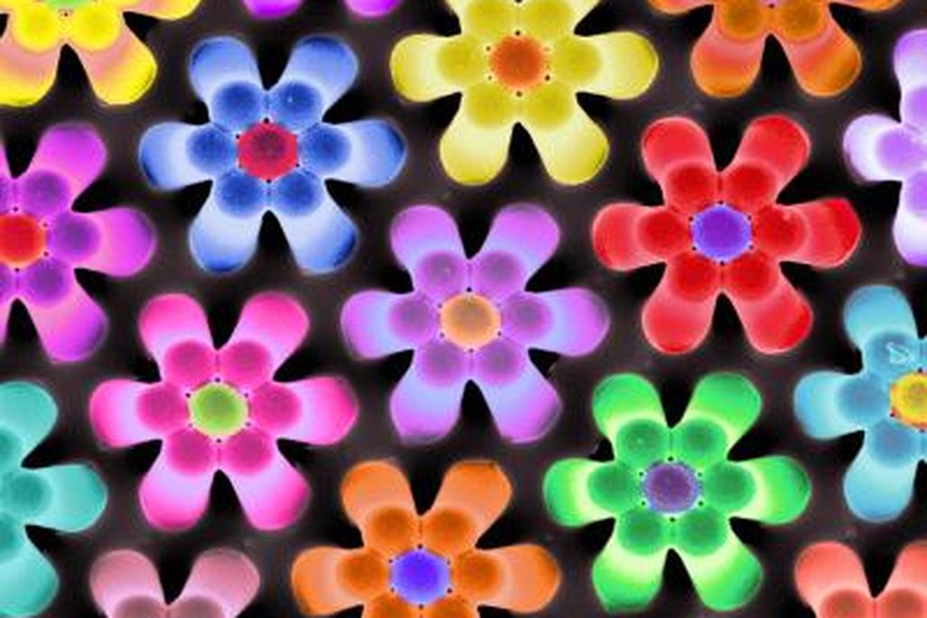 20110520102327vischallengeflowers.jpg