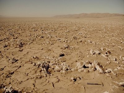 No, it's not Mars.  It's a field of salt nodules in the Atacama Desert.