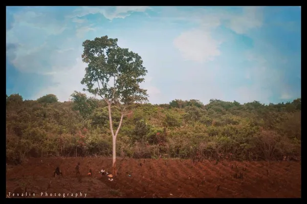 A farm land taken from a moving train thumbnail