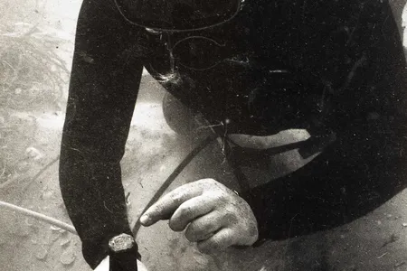A diver brings up a sealed glass bottle from the shipwreck of the Sydney Cove