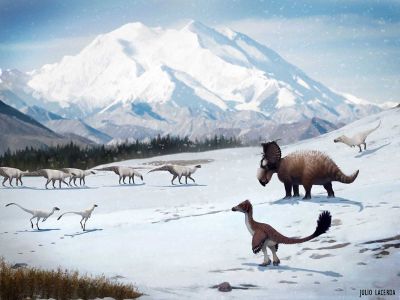 Dinosaurs found in Alaska's Prince Creek formation likely remained in the region when it snowed during the winter.