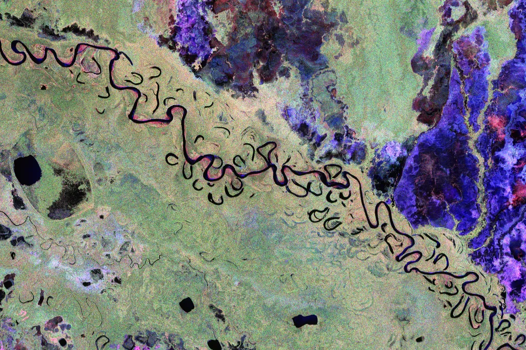 bolivian_forest_and_landscape_from_biomass.jpg