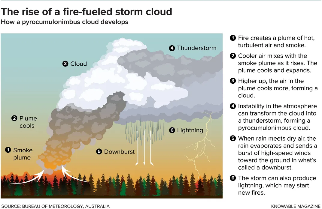 Fire Cloud Chart