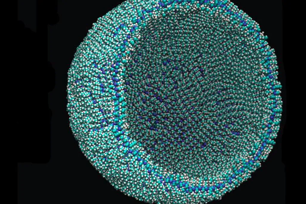 azotosome.jpg