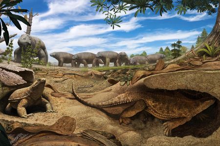 An artistic rendering shows an early proto turtle Eunotosaurus (foreground) burrowing into the banks of a dried-up pond to escape the harsh arid environment present 260 million years ago in South Africa.