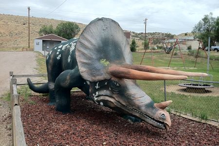 Dinosaur, Colorado's Triceratops
